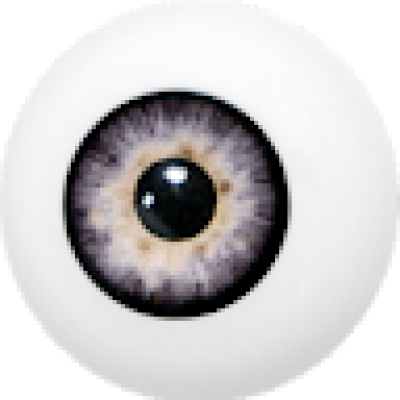 Thijs zoekt een Kamer / Huurwoning / Studio in Leiden